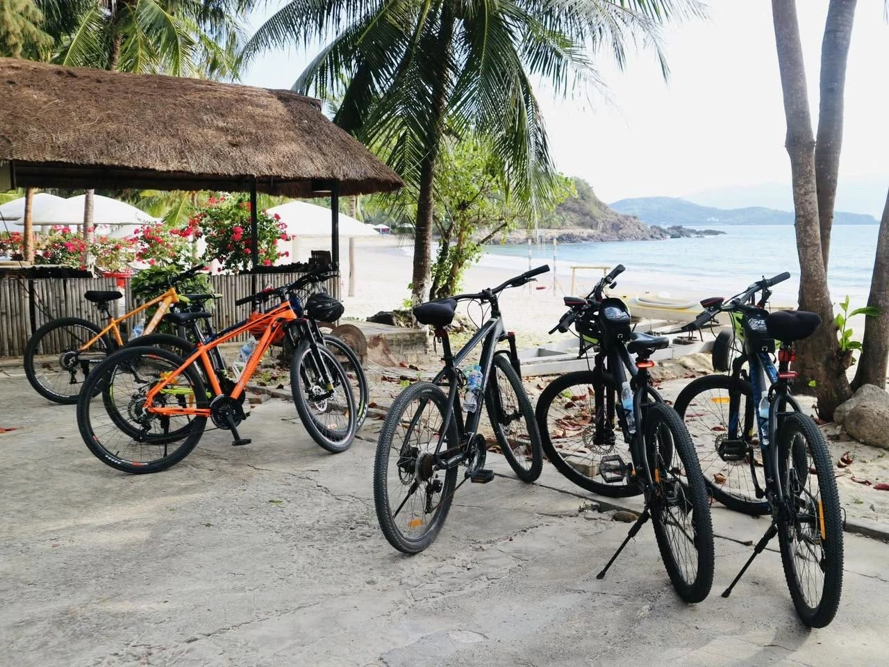 Các loại xe đạp cho thuê tại Nha Trang